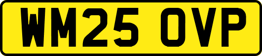 WM25OVP