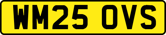 WM25OVS