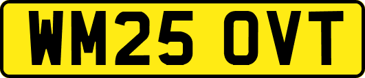 WM25OVT