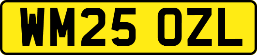 WM25OZL