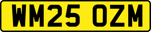 WM25OZM