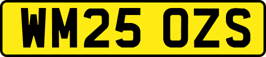 WM25OZS
