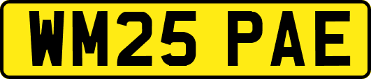 WM25PAE