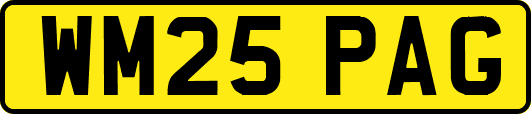 WM25PAG
