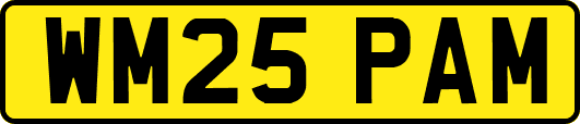 WM25PAM