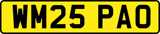 WM25PAO