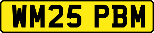 WM25PBM