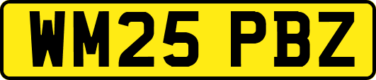 WM25PBZ