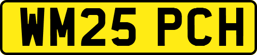 WM25PCH