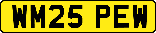WM25PEW