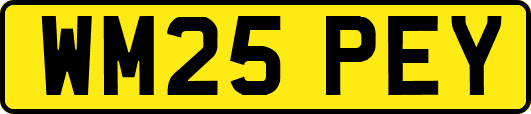 WM25PEY