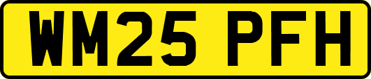 WM25PFH