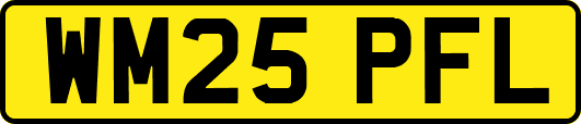 WM25PFL