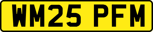 WM25PFM