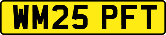 WM25PFT