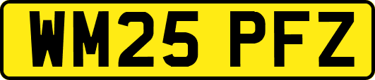 WM25PFZ