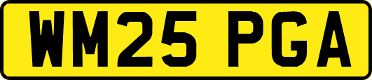 WM25PGA