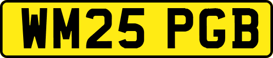 WM25PGB