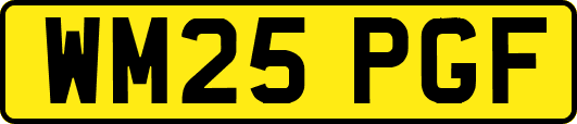 WM25PGF