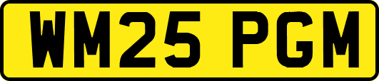 WM25PGM