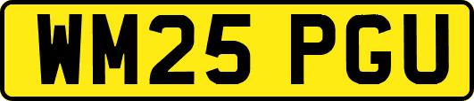 WM25PGU
