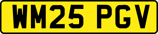 WM25PGV