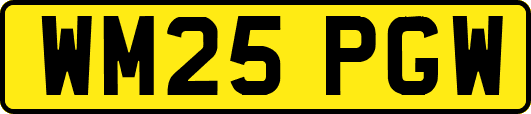 WM25PGW