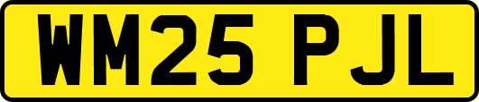 WM25PJL