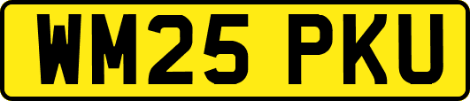 WM25PKU