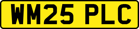 WM25PLC