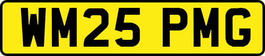 WM25PMG