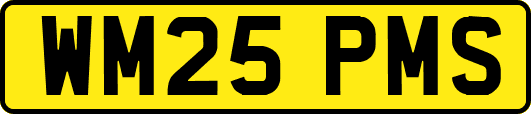 WM25PMS