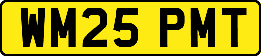 WM25PMT