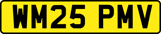 WM25PMV
