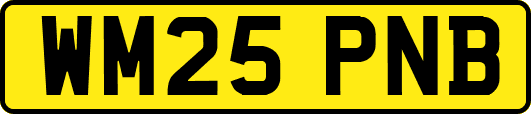 WM25PNB