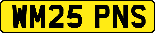 WM25PNS
