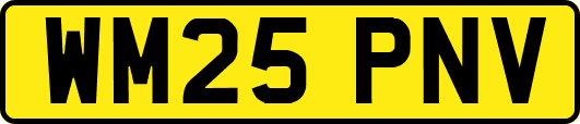 WM25PNV