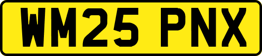 WM25PNX