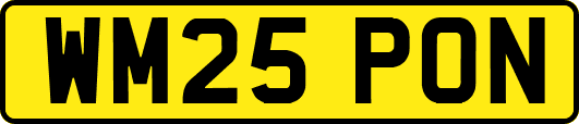 WM25PON