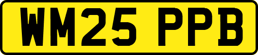 WM25PPB