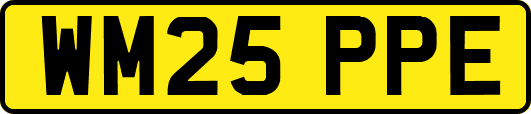 WM25PPE