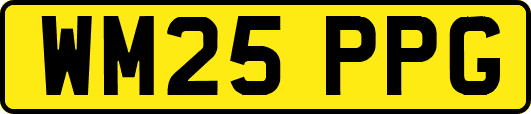 WM25PPG