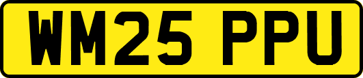 WM25PPU