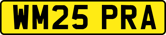 WM25PRA