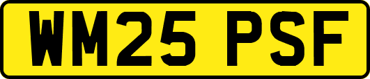 WM25PSF