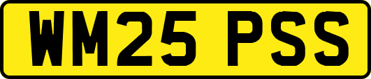 WM25PSS