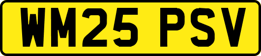 WM25PSV