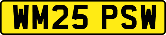 WM25PSW