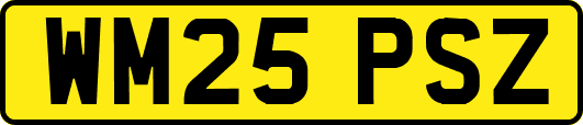 WM25PSZ