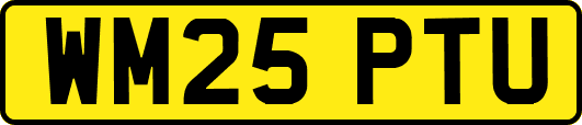 WM25PTU